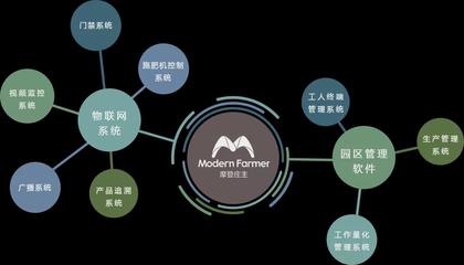 农业4.0时代 走进江苏绿港的农场“办公室”与数据处理